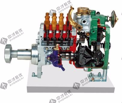 直列喷射泵解剖模型(RSF)