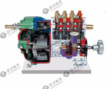 直列喷射泵解剖模型(RQV)